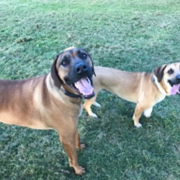 Hey, I'm Chandi! Welcome to my Trashy Boho Closet! - Picture 5 of 6